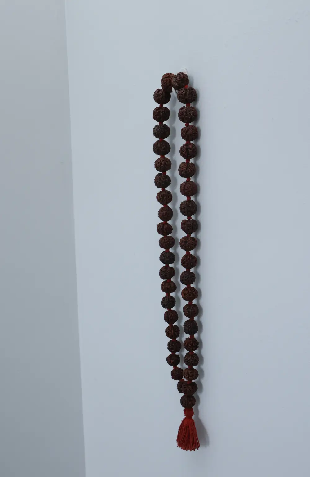 Shiv Abhimantrit 5 Mukhi Rudraksha Mala ( Big Size)