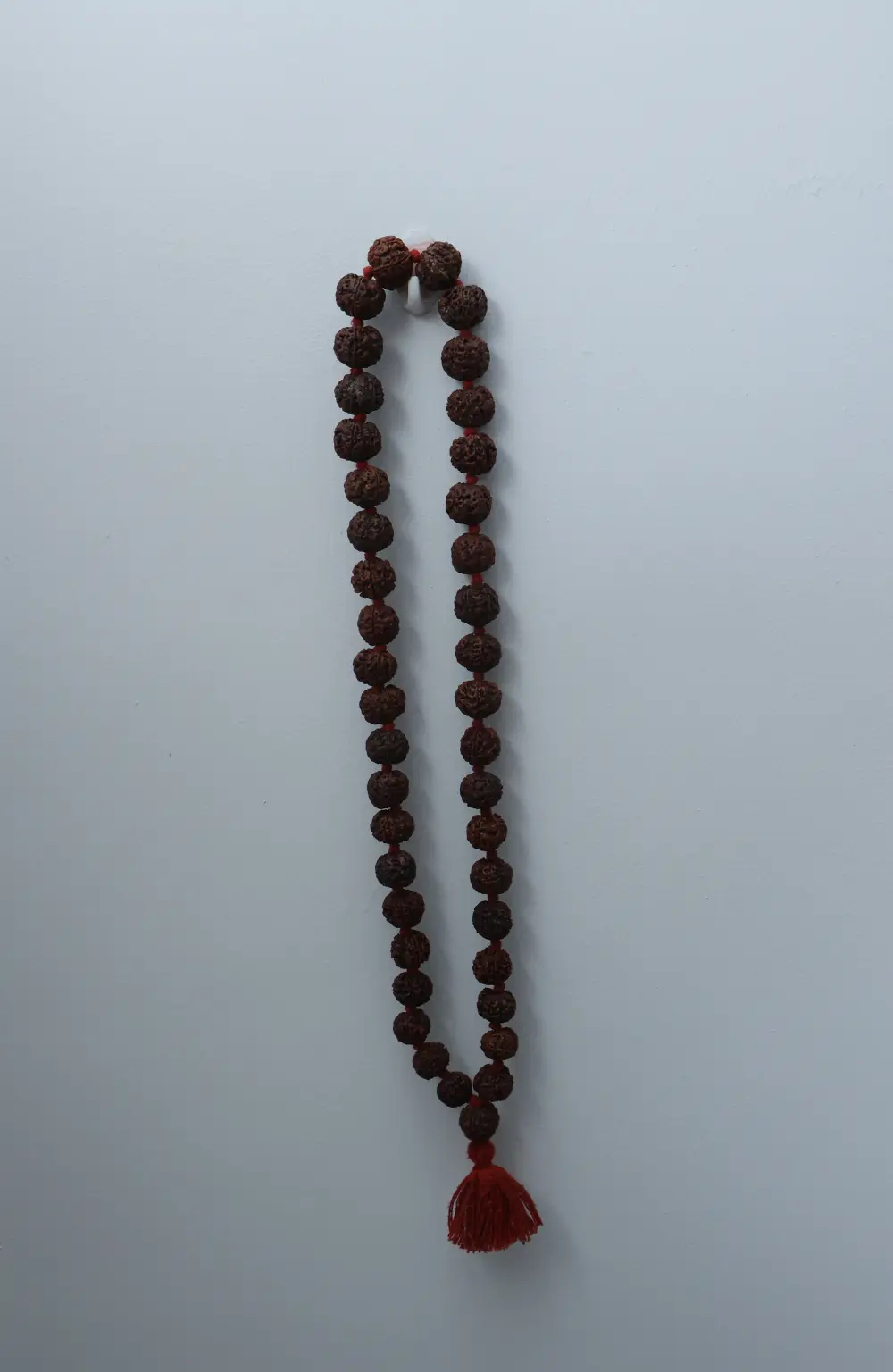 5 Mukhi Rudraksha Mala  – Abhimantrit & Shiv Energized